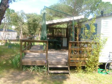 Chalet in Vidauban (Var) oder Ferienwohnung oder Ferienhaus