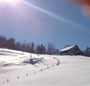 Ferienhaus in B�retswil (Z�rich) oder Ferienwohnung oder Ferienhaus