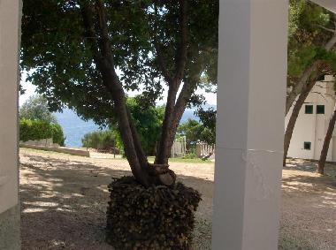 Ferienwohnung in Mimice (Splitsko-Dalmatinska) oder Ferienwohnung oder Ferienhaus