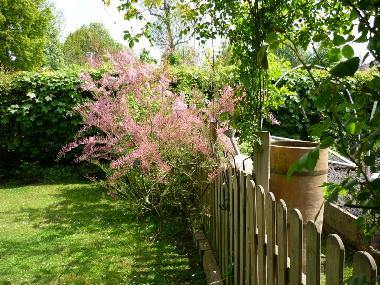 Ferienhaus in Esquelbecq (Nord) oder Ferienwohnung oder Ferienhaus