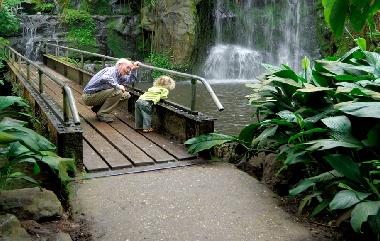Chalet in Voortuizen Veluwe (Gelderland) oder Ferienwohnung oder Ferienhaus