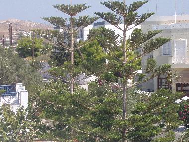 Ferienwohnung in Megas gialos (Kyklades) oder Ferienwohnung oder Ferienhaus