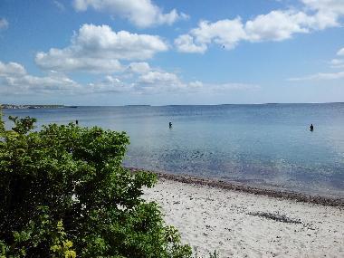 Ferienhaus in Faxe Ladeplads (Storstrom) oder Ferienwohnung oder Ferienhaus