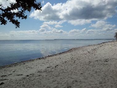 Ferienhaus in Faxe Ladeplads (Storstrom) oder Ferienwohnung oder Ferienhaus
