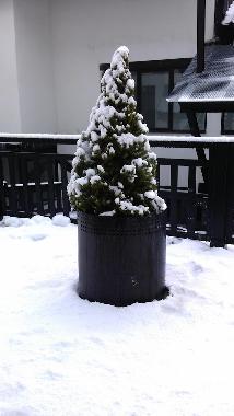 Ferienwohnung in Sierra Nevada (Granada) oder Ferienwohnung oder Ferienhaus