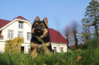 Ferienwohnung in Oersberg (Ostsee-Festland) oder Ferienwohnung oder Ferienhaus