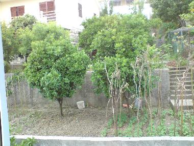 Bick hinter dem Ferienhaus