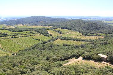 Cotes du Rhone Wein im Czetal