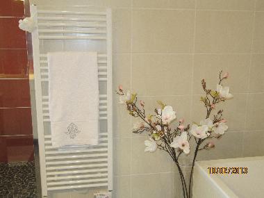 Ferienhaus in St AUBIN DE MEDOC (Gironde) oder Ferienwohnung oder Ferienhaus