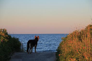 Ferienwohnung in Wagersrott (Ostsee-Festland) oder Ferienwohnung oder Ferienhaus