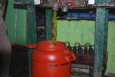 Villa in Sami (Kefallinia) oder Ferienwohnung oder Ferienhaus