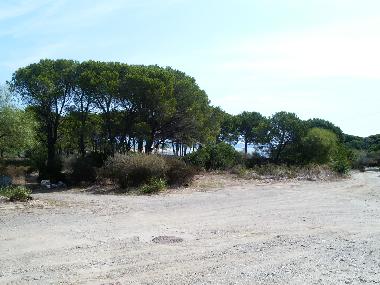 Ferienwohnung in loc iscra  E  Voes (Nuoro) oder Ferienwohnung oder Ferienhaus