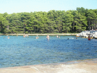 Ferienwohnung in Molat (Zadarska) oder Ferienwohnung oder Ferienhaus