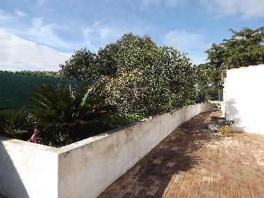 Villa in Carvoeiro (Algarve) oder Ferienwohnung oder Ferienhaus