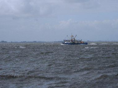 Ferienwohnung in Manslagt (Nordsee-Festland / Ostfriesland) oder Ferienwohnung oder Ferienhaus