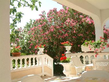 Ferienwohnung in Palit (Primorsko-Goranska) oder Ferienwohnung oder Ferienhaus