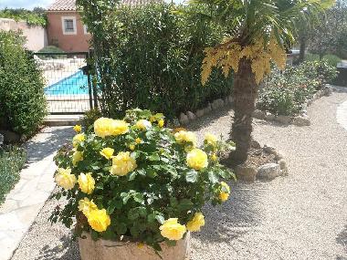 Ferienhaus in BEDOIN (Vaucluse) oder Ferienwohnung oder Ferienhaus