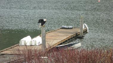 Ferienhaus in Bellingham (Washington) oder Ferienwohnung oder Ferienhaus