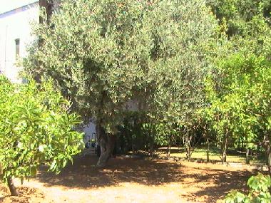 Villa in Policoro (Matera) oder Ferienwohnung oder Ferienhaus