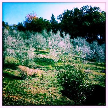 Villa in Terni (Terni) oder Ferienwohnung oder Ferienhaus