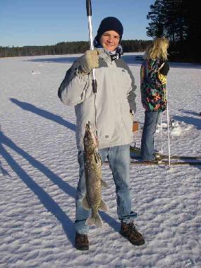 Ferienhaus in Dala- Jarna (Dalarna) oder Ferienwohnung oder Ferienhaus
