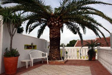 Villa in San Miguel De Salinas (Murcia) oder Ferienwohnung oder Ferienhaus