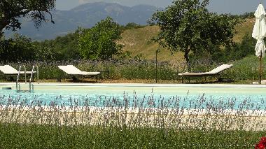 Ferienwohnung in Cagli (Pesaro e Urbino) oder Ferienwohnung oder Ferienhaus