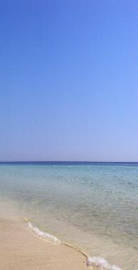 Villa in manduria (Taranto) oder Ferienwohnung oder Ferienhaus