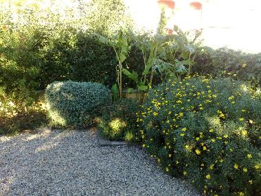 Chalet in miami Playa (Tarragona) oder Ferienwohnung oder Ferienhaus