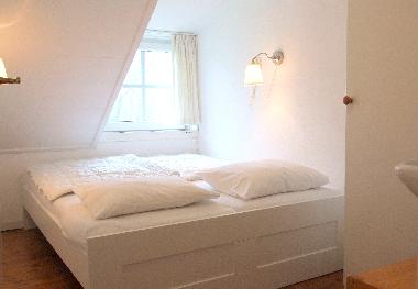 Ferienhaus in Ballum (Friesland) oder Ferienwohnung oder Ferienhaus