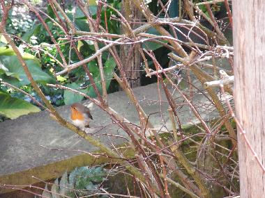 Ferienhaus in Sorrento (Napoli) oder Ferienwohnung oder Ferienhaus