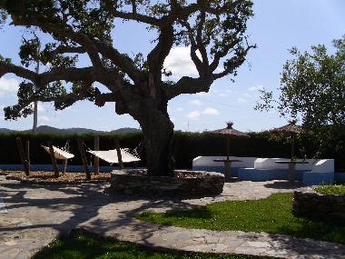 Ferienhaus in Cercal (Alentejo Litoral) oder Ferienwohnung oder Ferienhaus