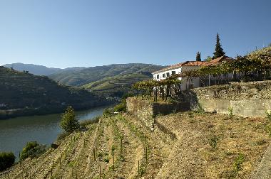 Ferienhaus in Pinho (Norte) oder Ferienwohnung oder Ferienhaus