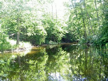 Ferienwohnung in Stj�rnhov (�sterg�tland) oder Ferienwohnung oder Ferienhaus