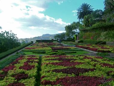 Ferienwohnung in Cani�o (Madeira) oder Ferienwohnung oder Ferienhaus