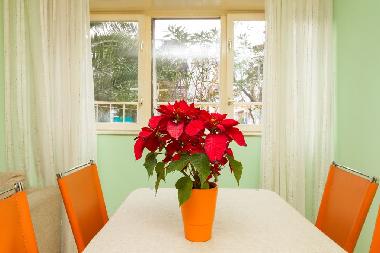 Ferienwohnung in Split (Splitsko-Dalmatinska) oder Ferienwohnung oder Ferienhaus