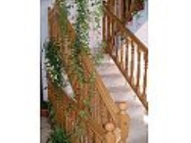 Ferienwohnung in Orebic (Dubrovacko-Neretvanska) oder Ferienwohnung oder Ferienhaus