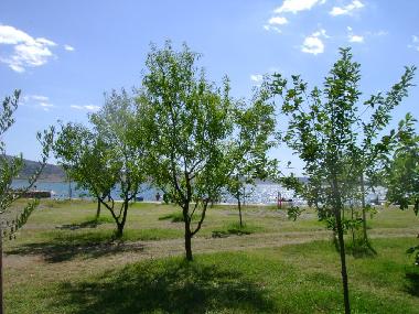 Ferienwohnung in Starigrad-Paklenica (Zadarska) oder Ferienwohnung oder Ferienhaus