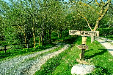 Ferienhaus in Viladrau (Girona) oder Ferienwohnung oder Ferienhaus