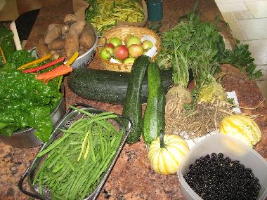 Ferienhaus in Bellingham (Washington) oder Ferienwohnung oder Ferienhaus