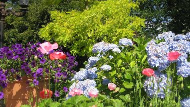 Ferienhaus in Bellingham (Washington) oder Ferienwohnung oder Ferienhaus