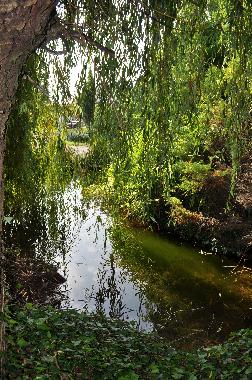 Ferienwohnung in Marans (Charente-Maritime) oder Ferienwohnung oder Ferienhaus