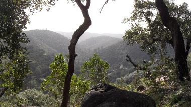 Ferienhaus in Monchique (Algarve) oder Ferienwohnung oder Ferienhaus