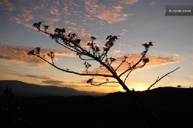 Ferienhaus in Grifo Alto (San Jose) oder Ferienwohnung oder Ferienhaus