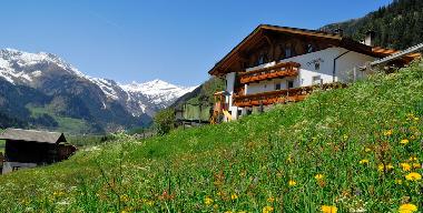 Ferienwohnung in 39040 (Bolzano-Bozen) oder Ferienwohnung oder Ferienhaus