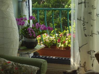 Ferienwohnung in Tel Aviv (Tel Aviv) oder Ferienwohnung oder Ferienhaus