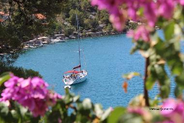 Pension in BOL (Splitsko-Dalmatinska) oder Ferienwohnung oder Ferienhaus