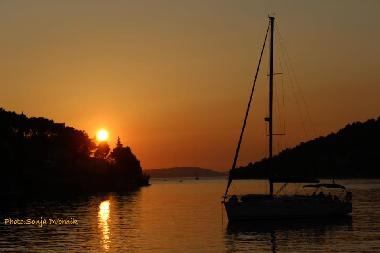 Pension in BOL (Splitsko-Dalmatinska) oder Ferienwohnung oder Ferienhaus