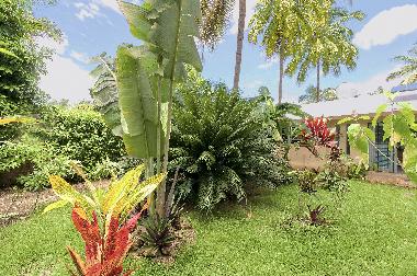Der Garten