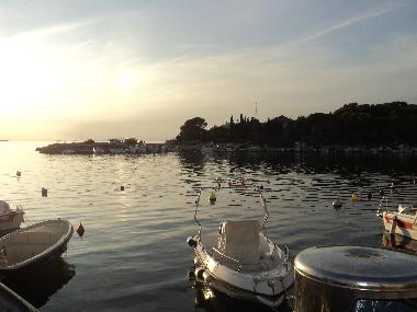 Ferienwohnung in Pag , Mandre (Zadarska) oder Ferienwohnung oder Ferienhaus